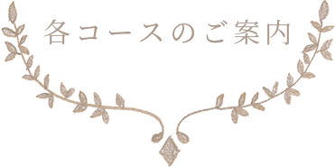 各コースと料金